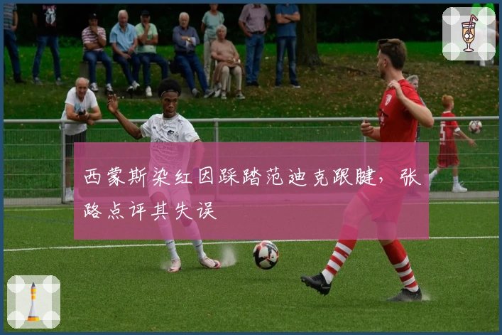 西蒙斯染红因踩踏范迪克跟腱，张路点评其失误