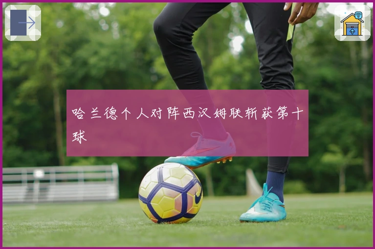 哈兰德个人对阵西汉姆联斩获第十球